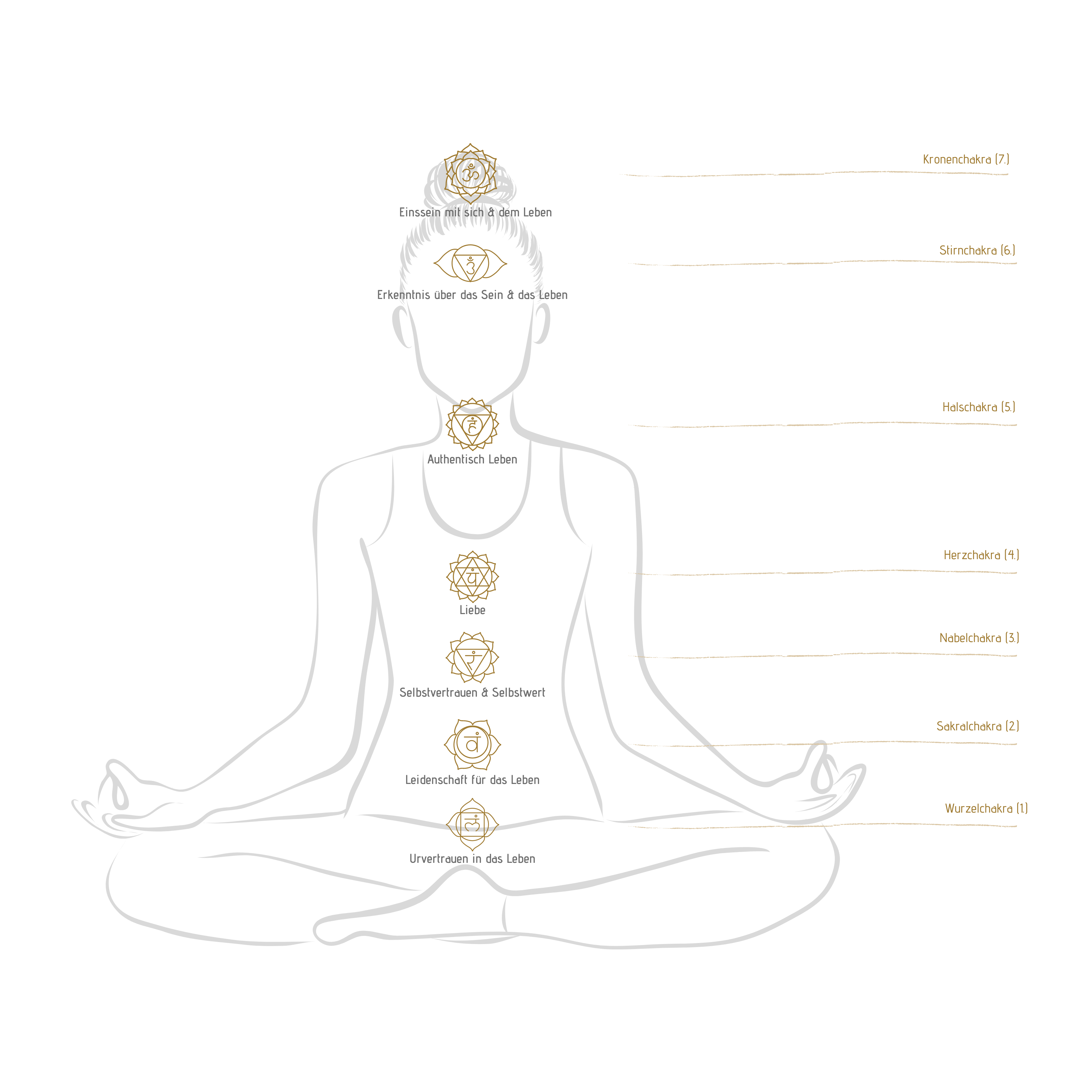 energy of elemental force▿ Wurzelchakra